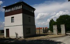 Buchenwald_5888.jpg